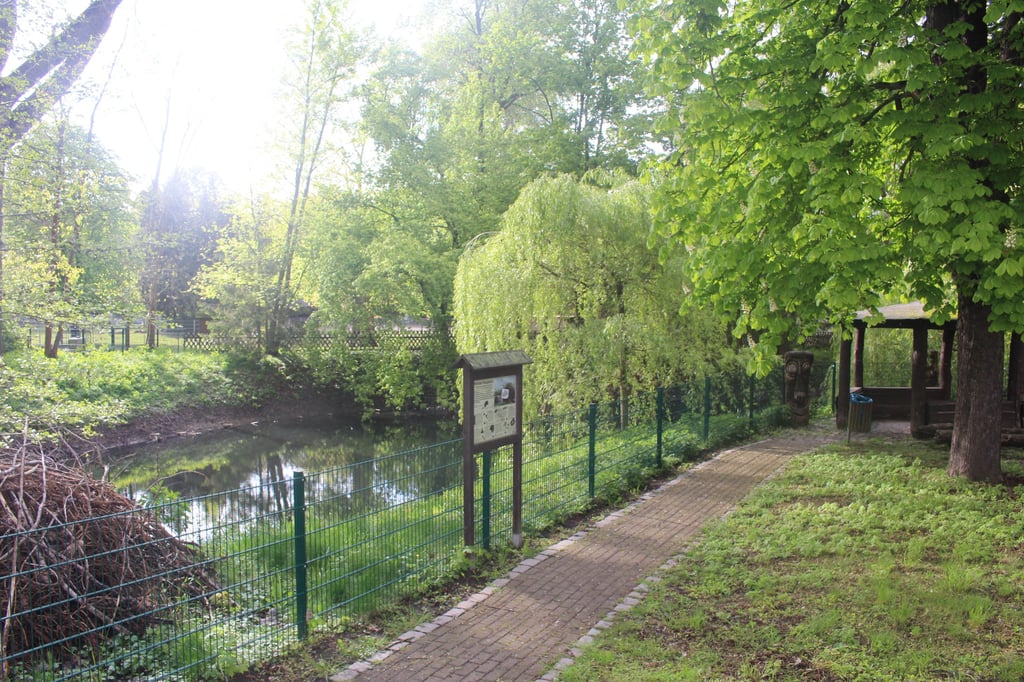 Die Aufenthaltsfläche mit Pavillon nahe des Bode-Ufers im Oschersleber Wiesenpark ist leicht in Vergessenheit geraten. Das soll sich mit der Renaturierung des Schwanenteiches (links) wieder ändern.