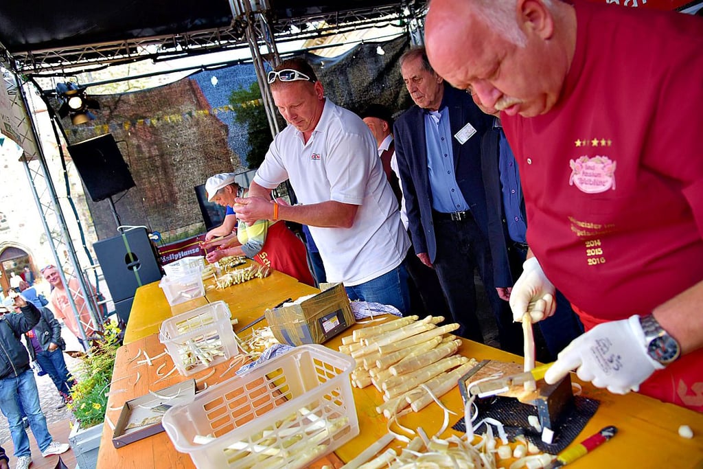 Kein Zerbster Spargelfest ohne Spargelschäl-Weltmeisterschaft – auch Rekordhalter Steffen Hinkelmann (r.) will in diesem Jahr wieder um den WM-Titel kämpfen.
