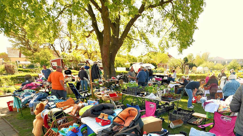 Unter der Linde ließ es sich beim Flohmarkt in der Gartensparte „Baumgarten“ gut aushalten.