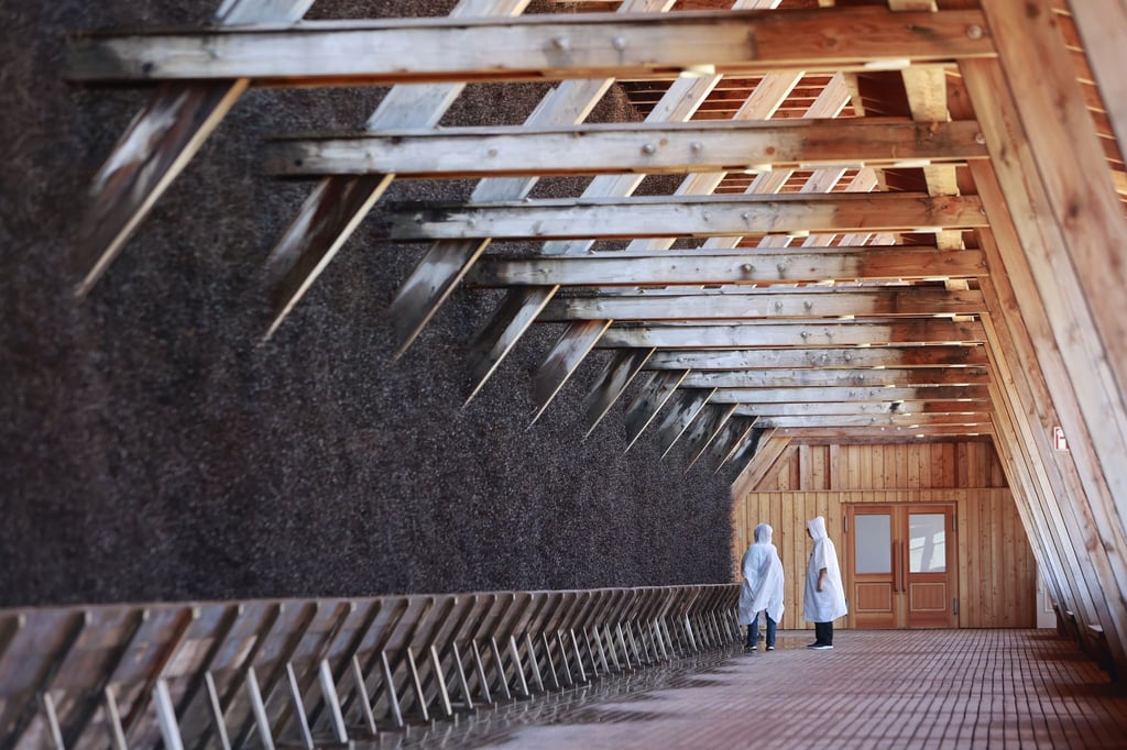 Besucherinnen gehen durch das Gradierwerk in Bad Salzungen.