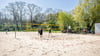 Bei  Sonennschein, warmen Temperaturen und optimalen Platzverhältnissen messen sich vier Teams in Annaburg beim Beach-Volleyball.