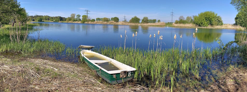 Blick auf den Parchauer See. Die Idylle trügt: der Zustand des Gewässers ist schlecht.