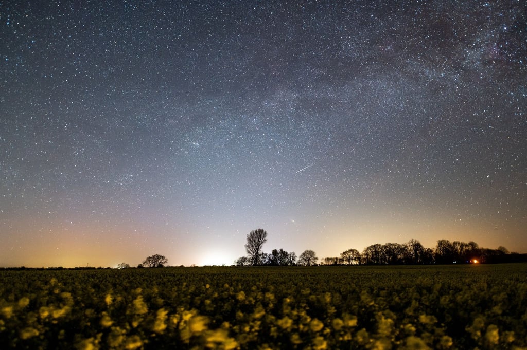 Der Sternenhimmel leuchtet über einem Rapsfeld. Auch im Mai lohnt sich ein Blick ins Firmament (Archivbild).