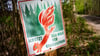 Ein Schild mit der Aufschrift „Schütz den Wald vor Brandgefahr“ hängt in einem Wald.