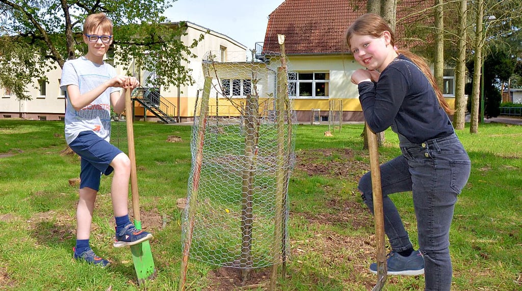 Nach dem Pflanzen der Obstböume im Altbrandsleber Waldhaus, übernehmen die Kinder eine Baumpatenschaft