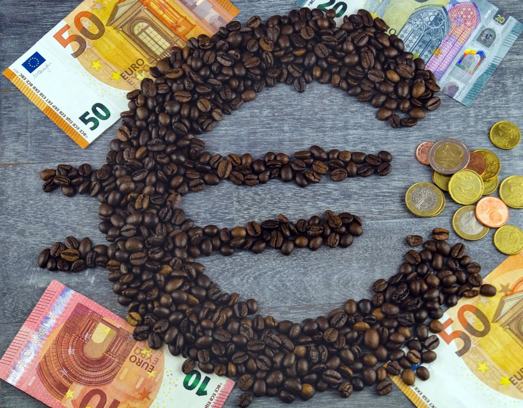 Sachsen-Anhalts Landtagsabgeordnete haben ab dem 1.Juli 2024 mehr Geld im Portemonnaie.