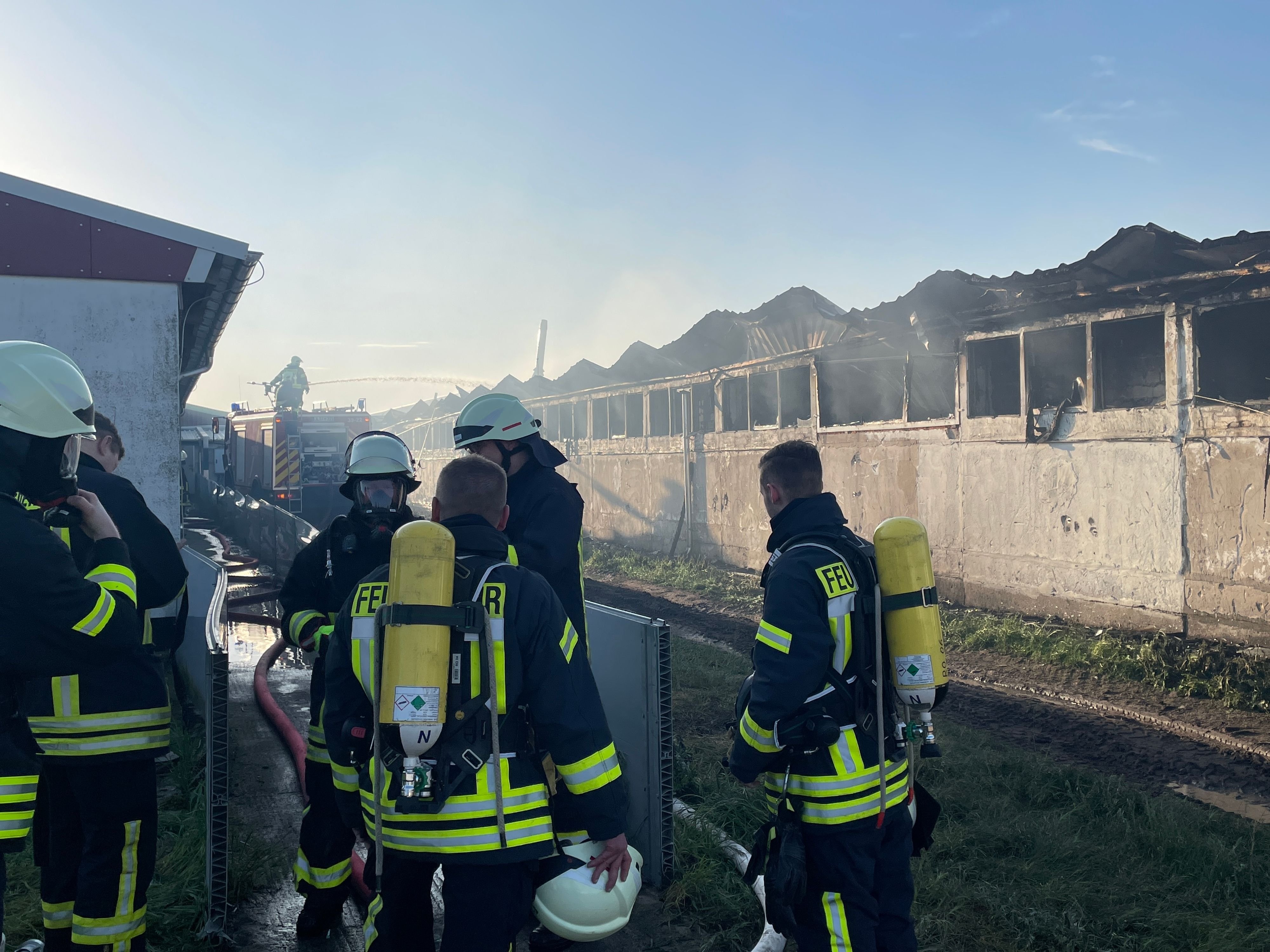 Feuerwehr Im GroßEinsatz: Mit Video: Großbrand in Schweinemastanlage in Lübars  - Über 200 Tiere sterben im Feuer