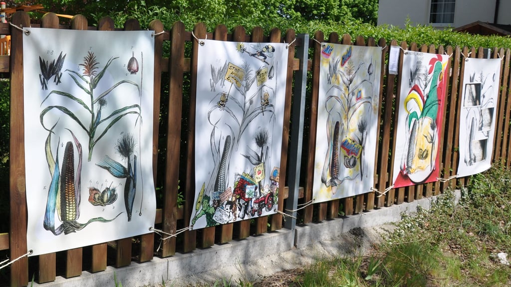 Die Ausstellung "Schweinebewusstsein" in Gladau.