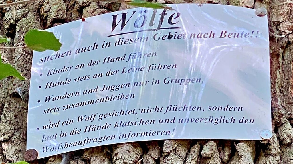 Auch im niedersächsischen Kreis Wolfenbüttel wurden Wölfe mittlerweile gesichtet: Dort finden sich bereits Hinweise zum Verhalten bei Begegnungen. Ganz wichtig: Bei Begegnungen niemals wegrennen, um nicht den Jagdtrieb der Tiere zu wecken, sondern Lärm machen.