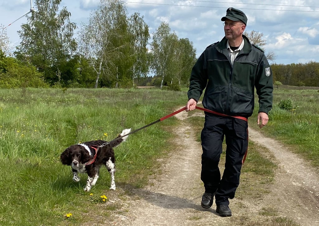 Über einen Spaziergang in den Kellerbergen freut sich auch Selma. Revierleiter Detlev Riesner nimmt seine Deutsche Wachtelhündin aber auch an die Leine, wenn sie nicht im Einsatz ist.