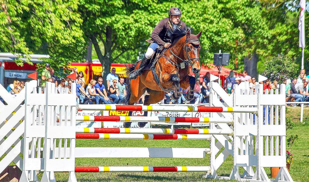 Der Reitverein Greppin 1990 präsentiert vom 02. bis 05.05. sein alljährliches Reitturnier, mit jeder Menge an sportlichen Höhepunkten.