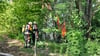 Bei Osterweddingen musste die Feuerwehr erneut zu einem brennenden Baum ausrücken.