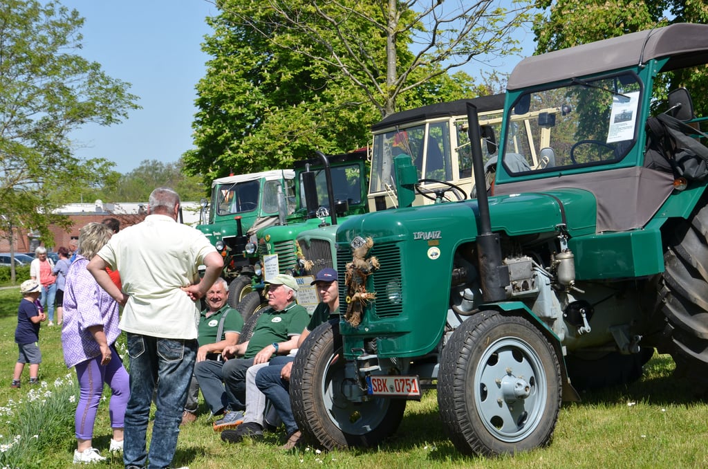 Die Treckerfreunde aus Atzendorf gehören von Anfang an zum Bild des Kirschblütenfests und finden mit ihren Oldtimern immer Anlass zu Gesprächen.