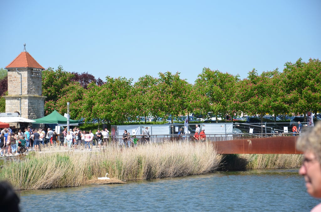 Die Schwäne ließen sich vom Trubel am Ufer des Stadtsees nicht beeindrucken. Nichtmal von den Salutschüssen zur Eröffnung.