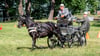 Fahrturnier für Pferdegespanne in Wahlitz. Dieses Jahr findet am Wochenende vom 3. bis 5. Mai ein Dressur-und Springturnier statt. 