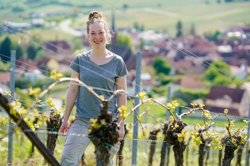 Immer mehr Frauen in Deutschland entscheiden sich Winzerin zu werden, so auch Hanna Nunkesser.