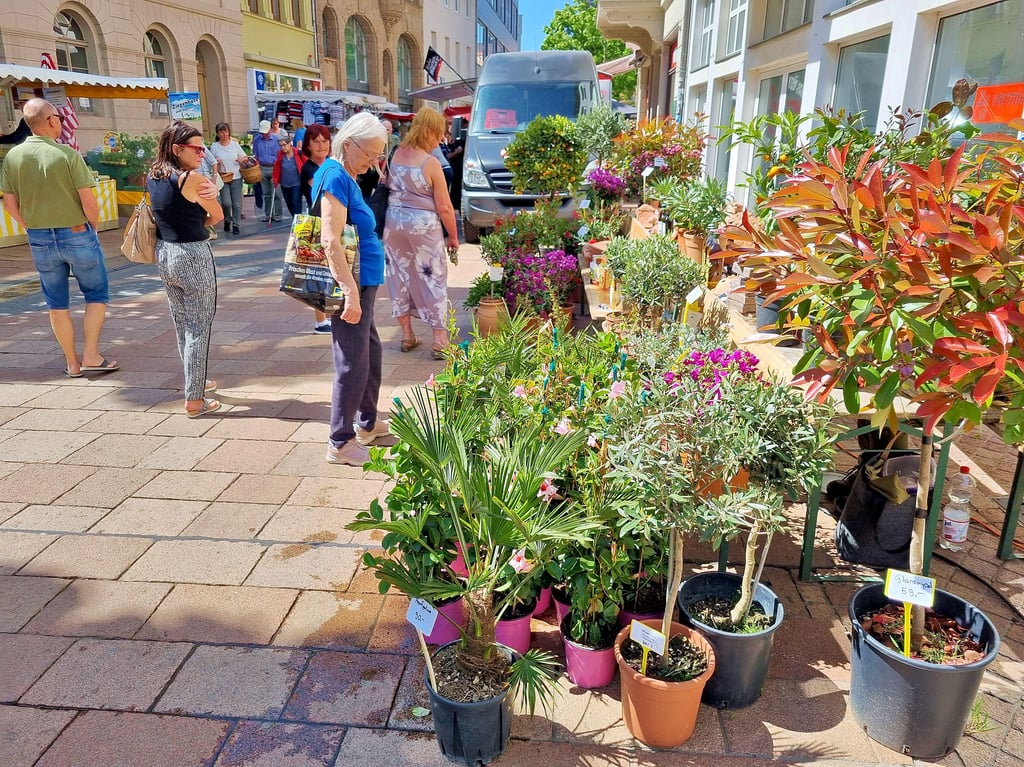 Das sah doch echt wieder einmal nach Gartenmarkt aus, was da am Donnerstag in der Schalaunischen Straße angeboten wurde.