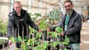 Daniel W. (links) und sein Lehrmeister Stephan Griebsch zeigen die Gurkenpflanzen, die dieses Jahr am Tag der offenen Tür zu haben sind.