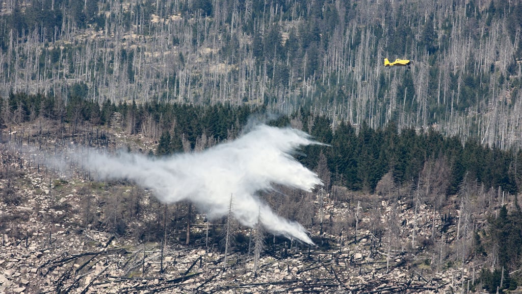 Das Löschflugzeug, das die Pferde erschrocken hat, war auf dem Weg zum Königsberg unterhalb des Brocken im Harz. Dort hatte es am 1. Mai 2024 gebrannt.