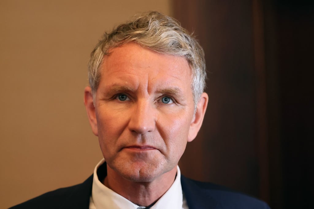 Björn Höcke, Vorsitzender der AfD in Thüringen.