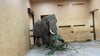 Elefantenkuh Sweni ist am Freitag (3. Mai 2024) in den Magdeburger Zoo eingezogen.