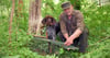Stadtjäger Elmar Jarosz stellt im Ziethebusch in Köthen eine Lebendfalle für Waschbären und Füchse auf, seine Jagdhündin Bonny begleitet ihn. 