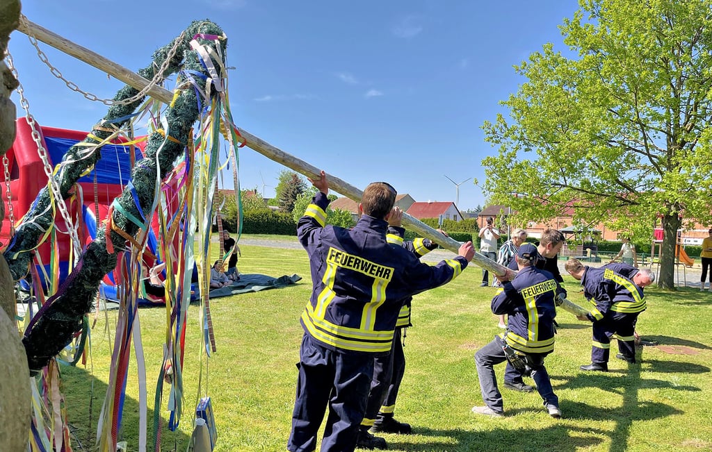 Die Kameraden der Feuerwehr in Demker richten den Maibaum auf.