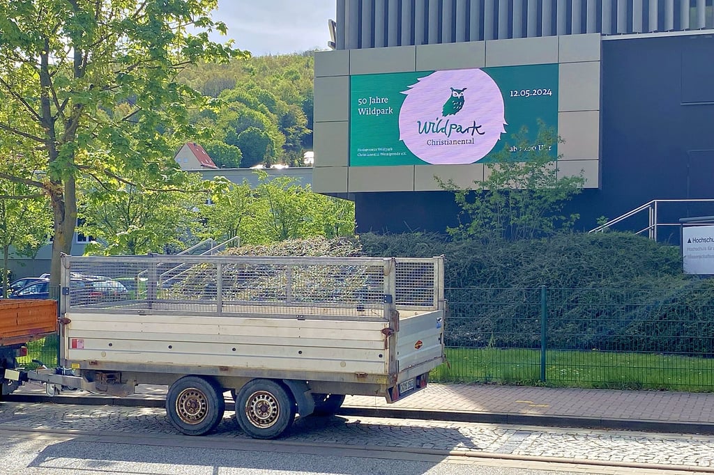 Die LED-Tafel an der Friedrichstraße zeigt ein Bild mit Werbung für den Wildpark Christianental.