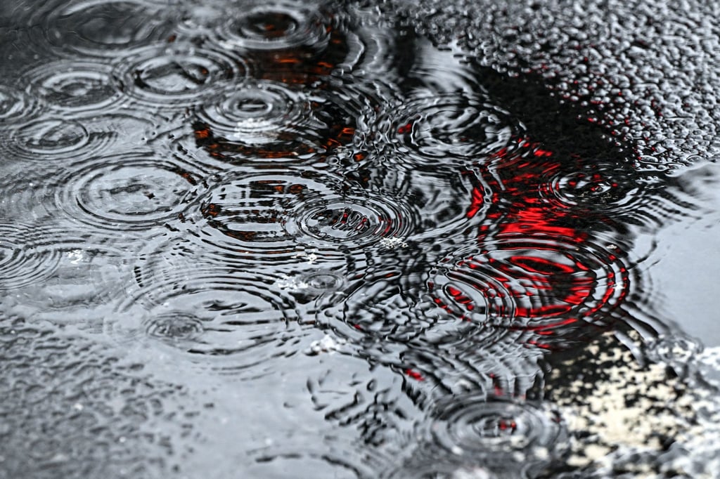 Die Lichter einer Ampel spiegeln sich bei Regenwetter in einer Pfütze.