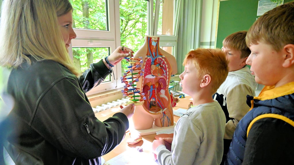 Im Fachraum für Biologie lernten die Besucher die inneren Organe und das Modell einer menschlichen DNA kennen.