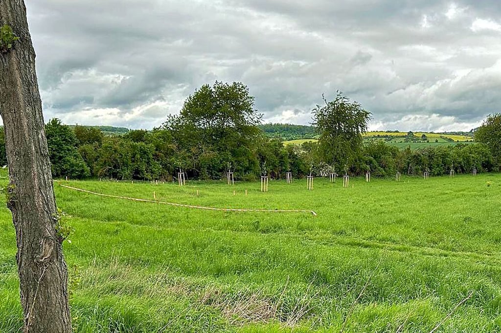 Auf einem abgesperrten Gelände nahe dem Sachsgraben zwischen Sangerhausen und Wallhausen soll die Fundgranate am Samstag gesprengt worden sein.