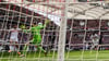 Stuttgarts Leonidas Stergiou (l) macht das Tor zum 1:0 gegen Münchens Torwart Manuel Neuer (M).