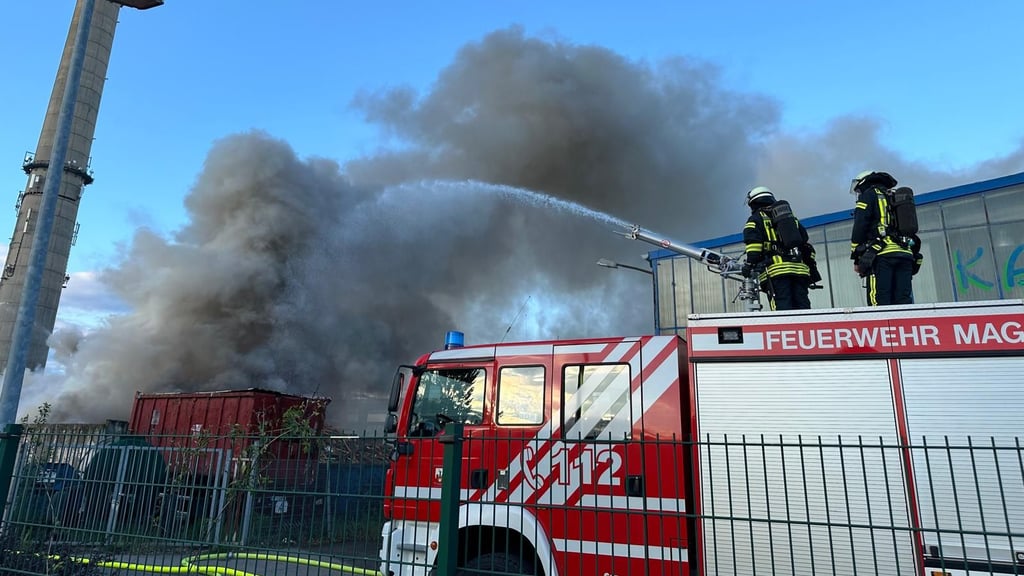 Auf dem Gelände des Abfallentsorgungsbetriebs nahe FAM ist ein Brand ausgebrochen.