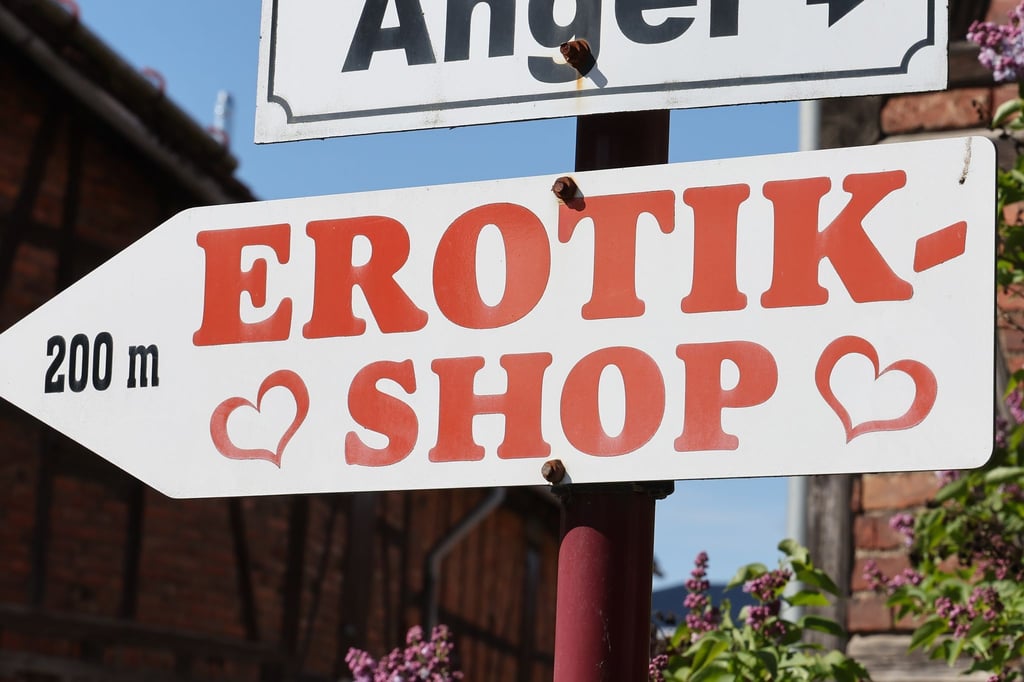 Die Direktorin des Zeitgeschichtlichen Forums in Leipzig, Uta Bretschneider, ist in den vergangenen Jahren gemeinsam mit dem Historiker Jens Schöne durch Ostdeutschland gereist und hat Interviews mit Sexshop-Betreibern geführt. Das Ergebnis erschien als Buch unter dem Titel „Provinzlust“.