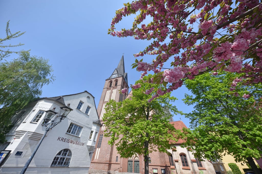 Das 800-Jahr-Jubiläum wird auch auf dem Markt von Bitterfeld gefeiert.