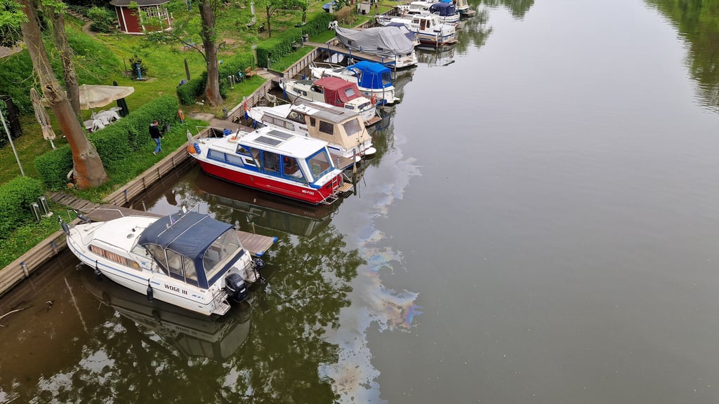 Aus einem dieser Motorboote an der Rabeninsel in Halle tritt mutmaßlich das Öl aus, das die Saale verschmutzt.