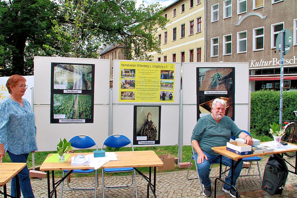 Am Stand des Heimatvereins Wittenberg und Umgebung gab es den geschichtlichen Background zum Maiblumenanbau.