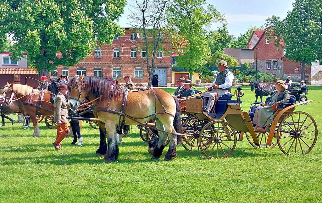 Drei Tage lang stehen wieder Gespanne der unterschiedlichsten Art im Mittelpunkt: das Traditionsfahrturnier steht auf dem Programm.