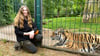 Petra Oppermann ist Tierpflegerin im Magdeburger Zoo. Eine ganz besonders große Liebe hat sie schon seit Jahren für Tiger, wie hier für Tigerdame Stormi-Sheera, die sie mit der Hand aufgezogen hatte.