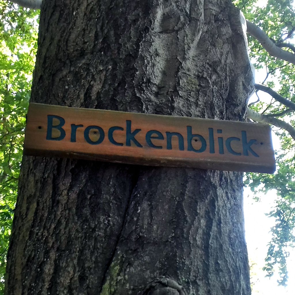 Feuerwehren aus Blankenburg, Heimburg und Hüttenrode sowie das Löschflugzeug sind nahe des Aussichtspunktes Brockenblick im Einsatz.
