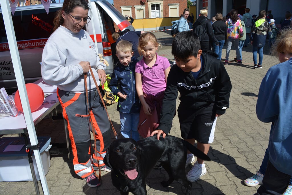 Anett Fiedler erklärte den Kindern in Osterburg (Kreis Stendal), wobei ihr Rettungshund Ben hilft.