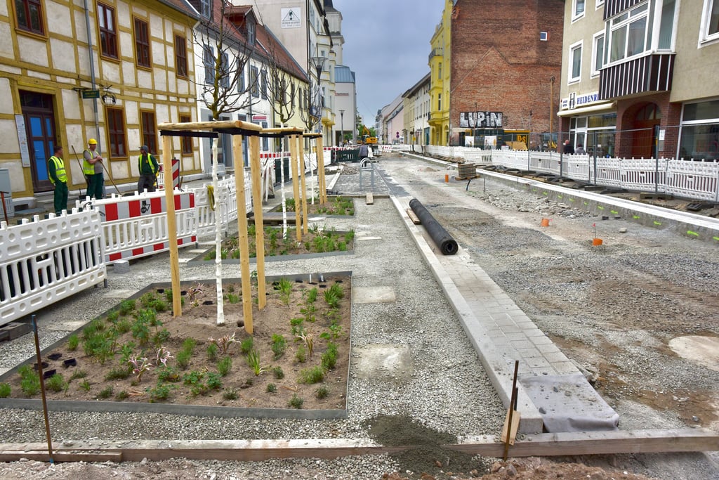 Blumen und Bäume für die Dessauer Johannisstraße: Der Baufortschritt ist unübersehbar, die Fertigstellung des innerstädtischen Millionen-Projekts rückt näher.