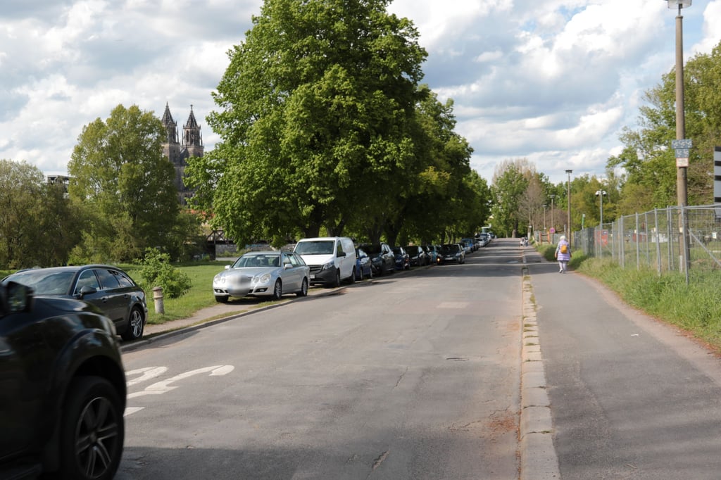 Derzeit wird der Grünstreifen neben der Fahrbahn am Kleinen Stadtmarsch regelmäßig zugeparkt.
