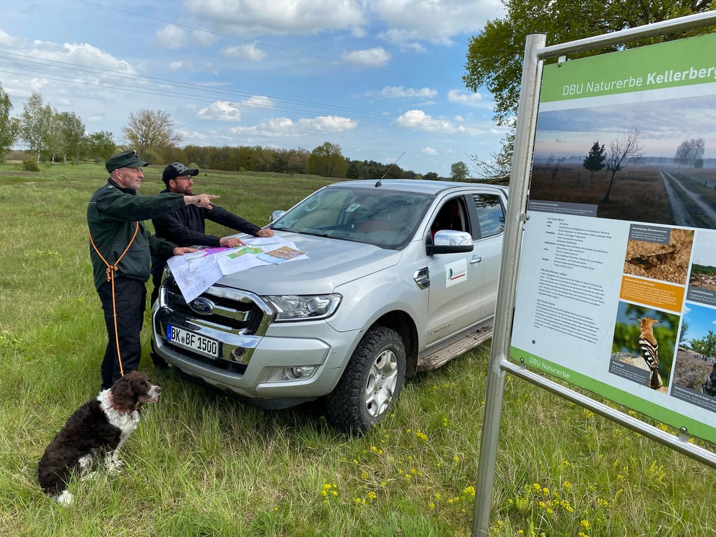 DBUNaturerbe Kellerberge Schafe und Ziegen helfen beim Naturschutz in