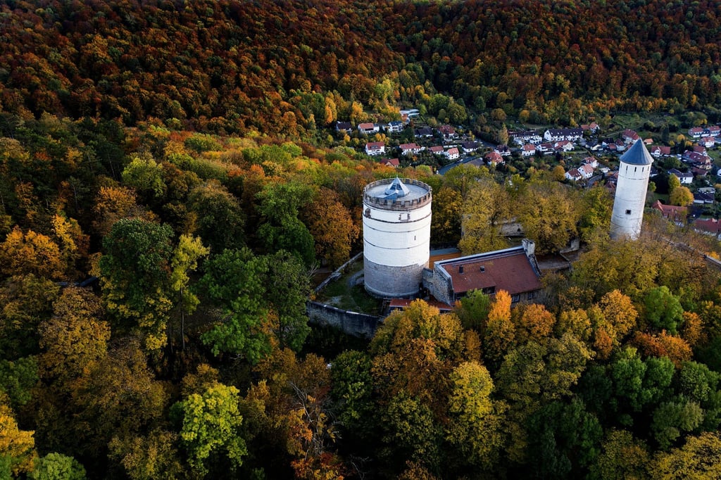 Blick auf die Burg Plesse.
