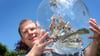 Matthias Schultz hält ein von ihm gebautes 40 Zentimeter hohes und 38 Zentimeter langes Buddelschiff welches in einem 50 Liter fassenden Gärballon hängt.