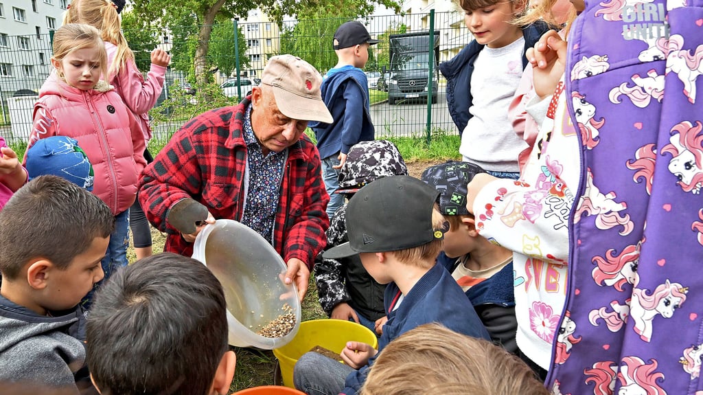 Auf dem Schulhof der Grundschule Pfeilergraben werden Blühflächen angelegt.