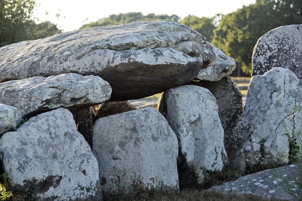 Rätsel für Polizei und Archäologen: Ein Megalith-Stein ist von einem Steinzeit-Grab in Immekath bei Klötze verschwunden.