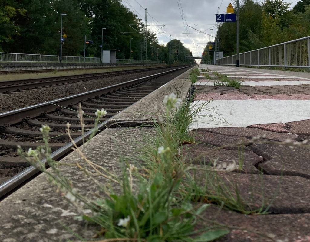 Bild vom Bahnhof mit Symbolcharakter für Möser: Wohin führt der Weg der Gemeinde angesichts klammer Kasse?