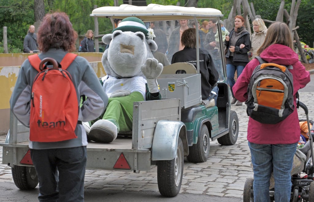 Nilpferd Dixie, das Maskottchen des Dresdner Dixielandfestivals, fährt am Sonntag (15.05.2011) zum traditionellen Familienfest im Dresdner Zoo per Anhänger zum Auftritt.